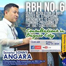 Senate starts regional consultations on RBH 6